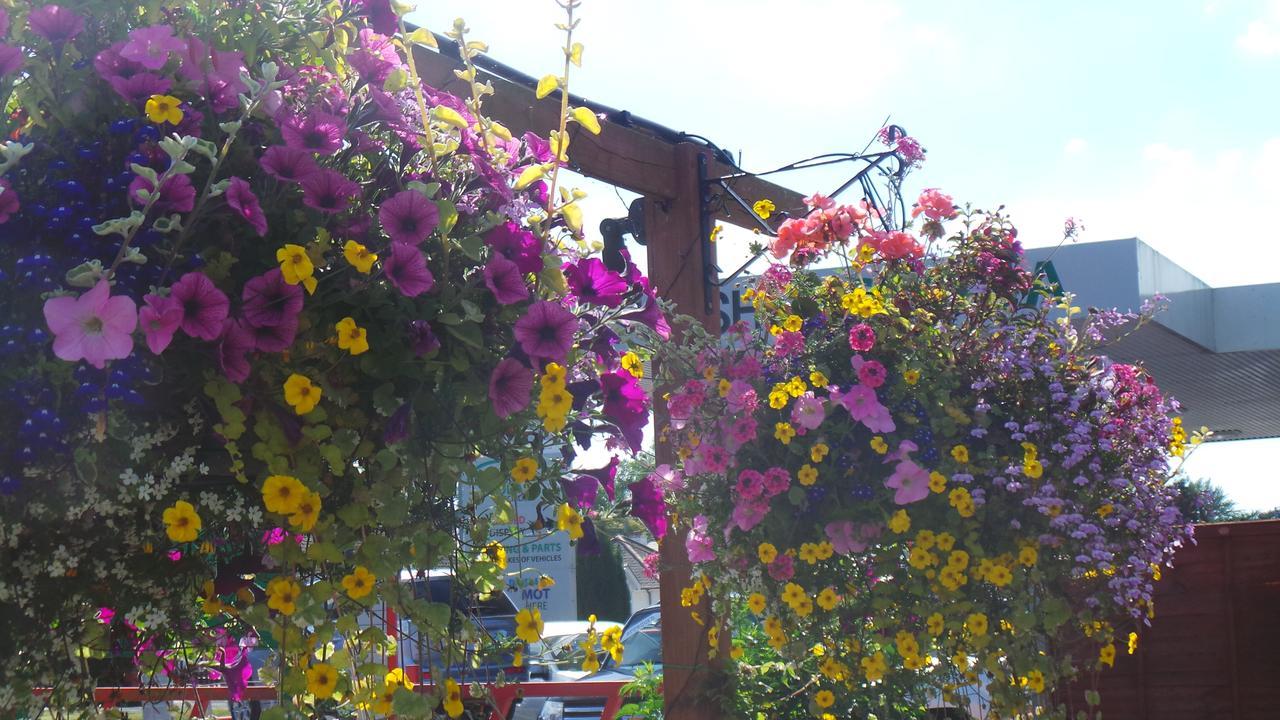 The Bay Horse Inn Hereford Bagian luar foto